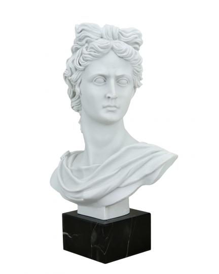 Apollon marble bust 600030055-1