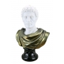 BRUTUS marble bust  (sculptor A.Santini) 600030052 - photo 2