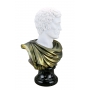 BRUTUS marble bust  (sculptor A.Santini) 600030052 - photo 3