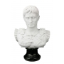 CAESAR AUGUSTUS  marble bust  (copy by G.Ruggeri) - photo 4