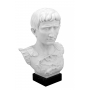 CAESAR AUGUSTUS marble bust (sculptor A.Santini) 600030101 - photo 2