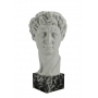 "DAVID" Michelangelo (head, marble, copy by G.Ruggeri) - photo 2
