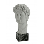 "DAVID" Michelangelo (head, marble, copy by G.Ruggeri) - photo 3