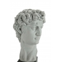 "DAVID" Michelangelo (head, marble, copy by G.Ruggeri) - photo 4