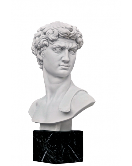 David Michelangelo marble bust 600030018-01