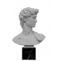 Marble bust of "DAVID" Michelangelo (copy by G.Ruggeri) 600030018 - photo 2