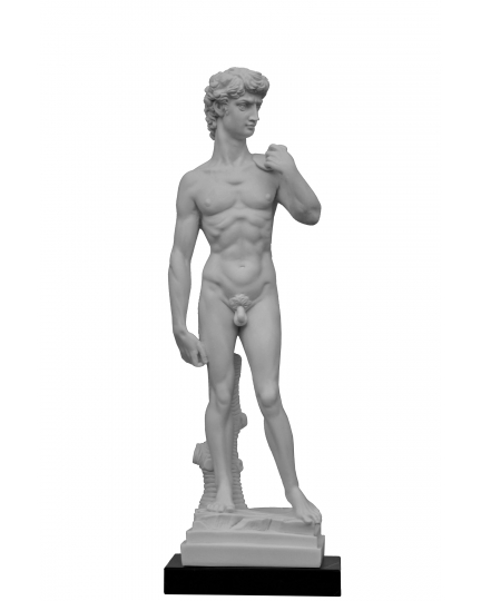 "DAVID"  Michelangelo (copy by G.Ruggeri) H40 cm