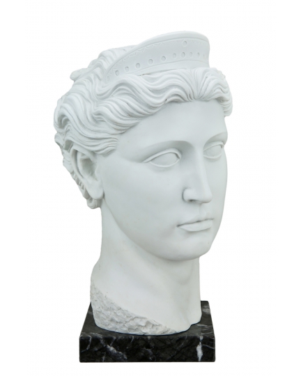 Diana marble head 600030058-1