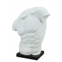 GADDI marble torso  (sculptor E.Furiesi) 600030059 - photo 3