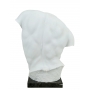 GADDI marble torso  (sculptor E.Furiesi) 600030059 - photo 4