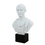 Юлий Цезарь мраморный бюст (скульптор G.Ruggeri) 600030057 - фото 2
