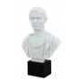 Julius Caesar marble bust (sculptor G.Ruggeri) 600030057 - photo 2