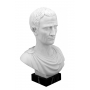 Julius Caesar marble bust (sculptor A.Santini) 600030100 - photo 2