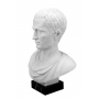 Julius Caesar marble bust (sculptor A.Santini) 600030100 - photo 3