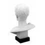 Julius Caesar marble bust (sculptor A.Santini) 600030100 - photo 4