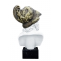 MENELAUS marble bust  (sculptor E.Furiesi) 600030053 - photo 5