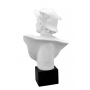 Marble bust of "MERCURY"  (sculptor A.Santini) 600030102 H30 cm - photo 4