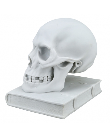 The skull and the book marble statuette 600030061-1
