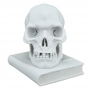 "THE SKULL AND THE BOOK" marble statuette (sculptor A.Santini)  600030061 - photo 3