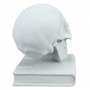 "THE SKULL AND THE BOOK" marble statuette (sculptor A.Santini)  600030061 - photo 5