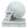 "THE SKULL AND THE BOOK" marble statuette (sculptor A.Santini)  600030061 - photo 6