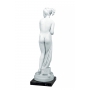 Marble statuette of "VENERA ITALICA" A.Canova  (copy by A.Santini) 600030070 - photo 4